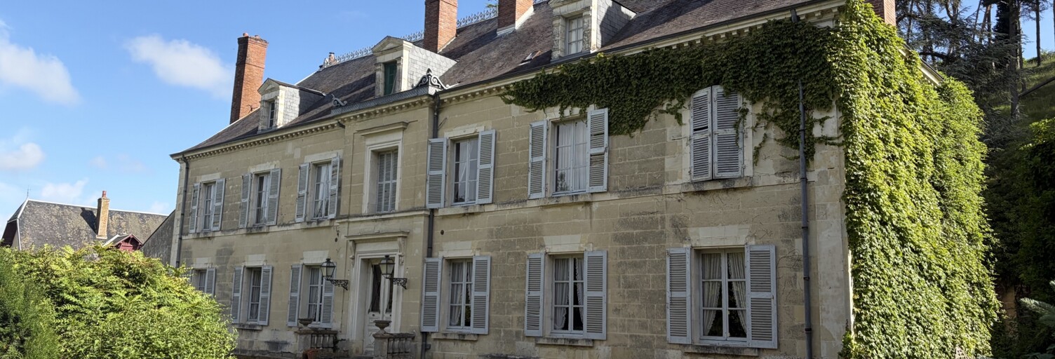 Maison 13 Pièces 558 m² à vendre à Ternay (41800)