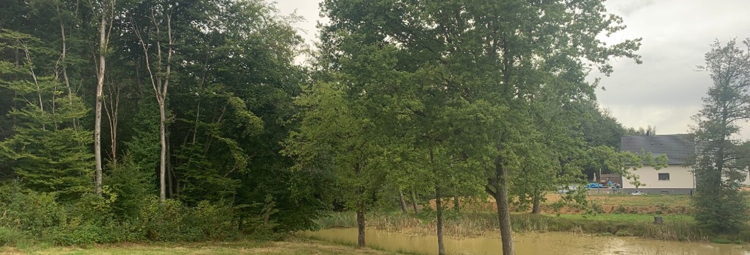 Terrain  612 m² à vendre à Seppois-le-Bas (68580)