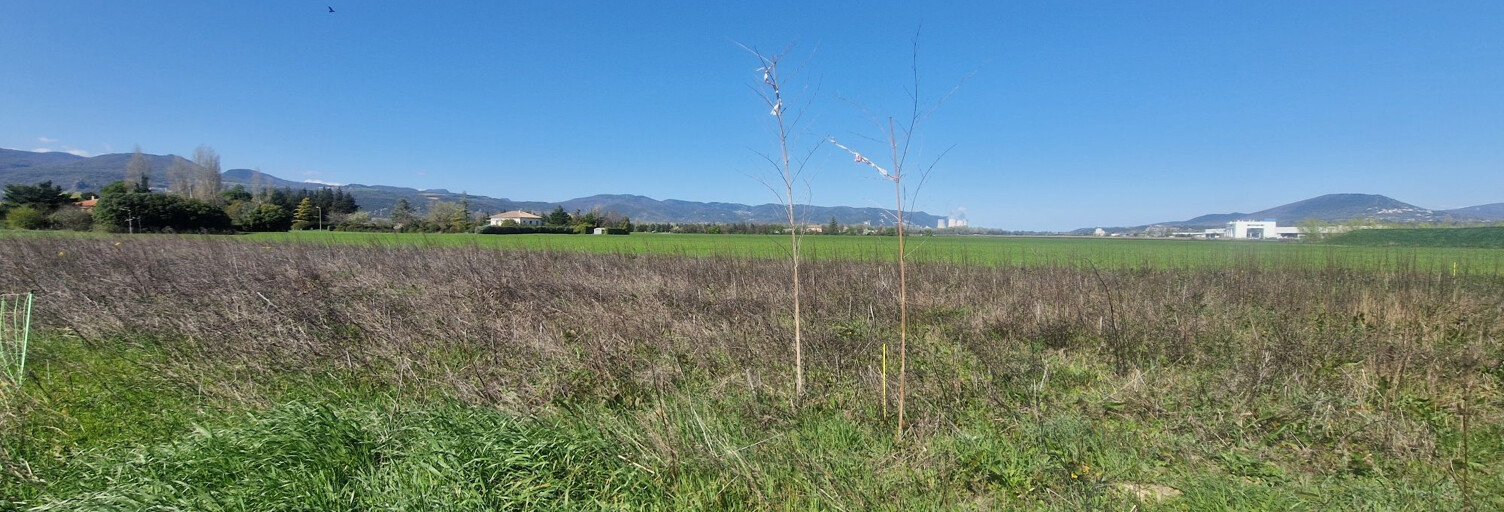 Terrain  1979 m² à vendre à Montélimar (26200)