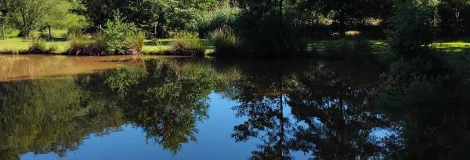 Maison  21 m² à vendre à Frahier-et-Chatebier (70400)