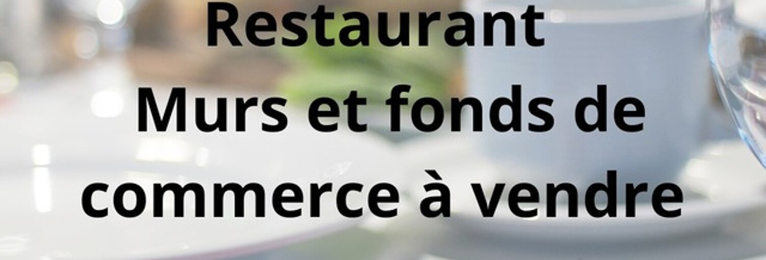 Commerce 10 Pièces 384 m² à vendre à Dijon (21000)