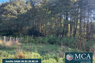 Terrain  169600 €