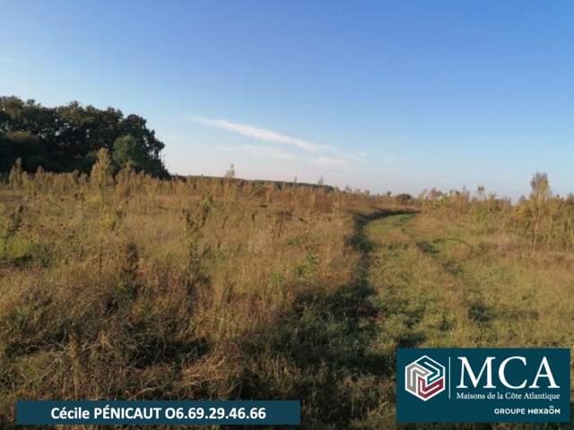 Terrain à bâtir à Préchacq-les-Bains (40465) — photo du bien