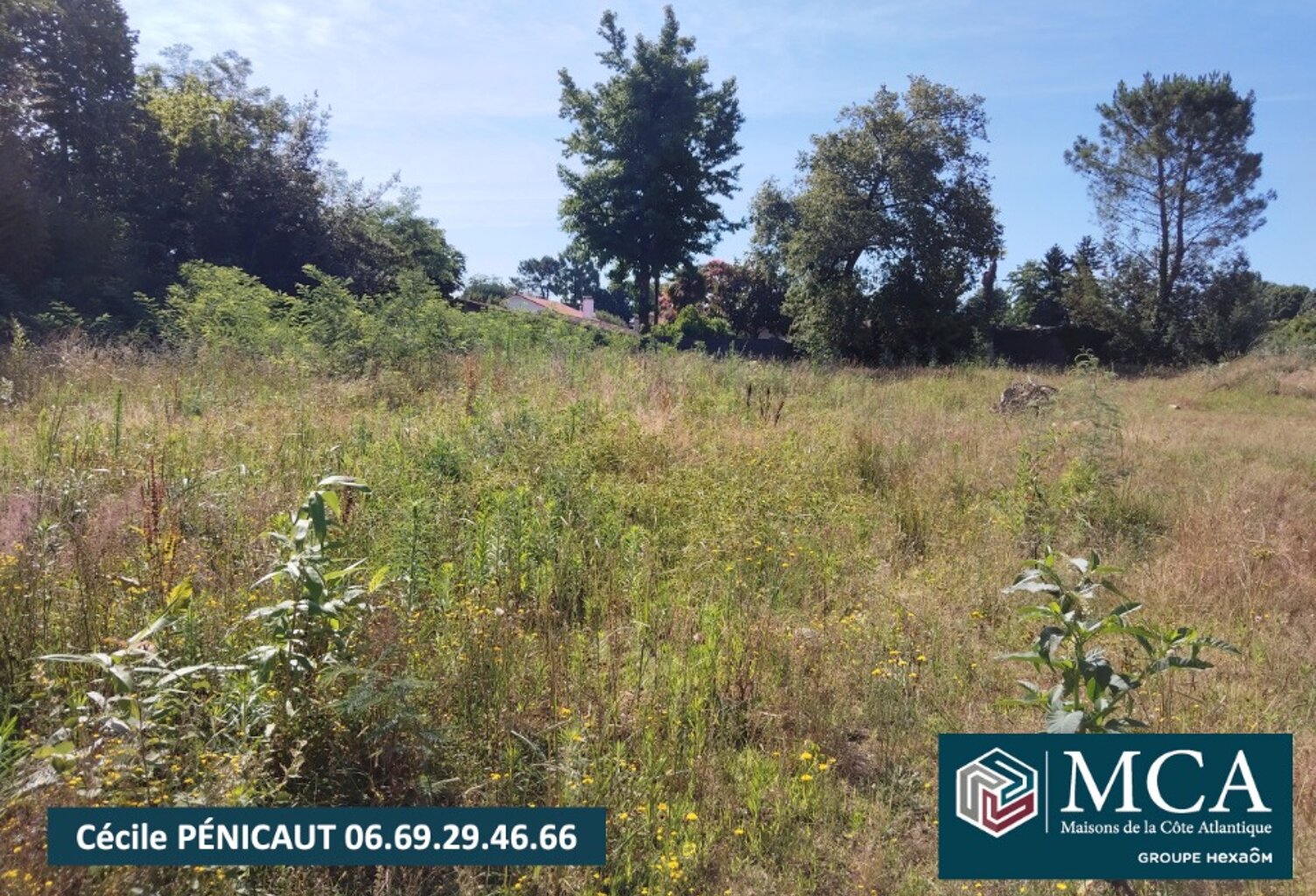 Terrain à bâtir à Narrosse (40180) — photo 1
