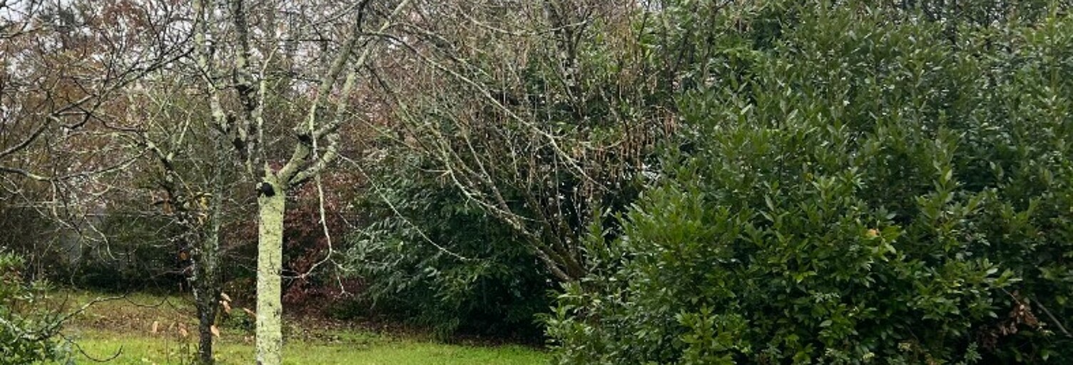 Terrain  660 m² à vendre à Parempuyre (33290)