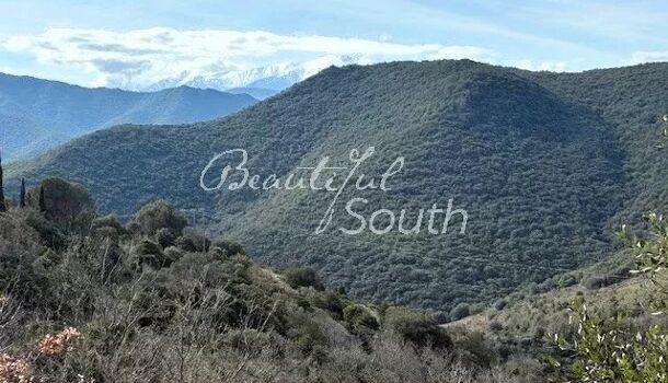 Terrain  à vendre Campoussy 66730