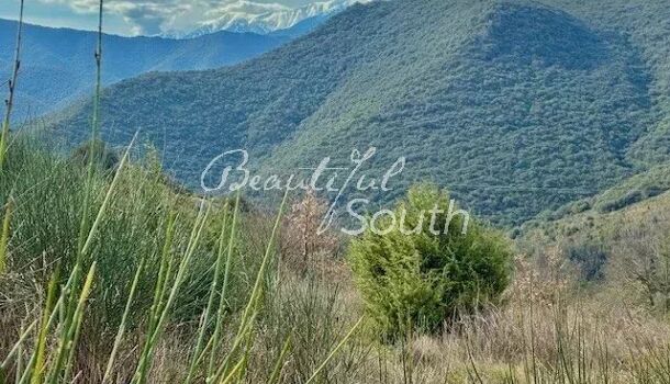 Terrain  à vendre Campoussy 66730