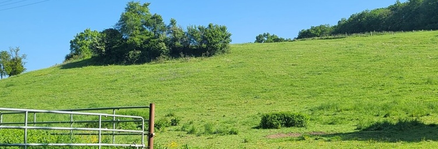 Terrain  66308 m² à vendre à Saint-Caprais-de-Lerm (47270)