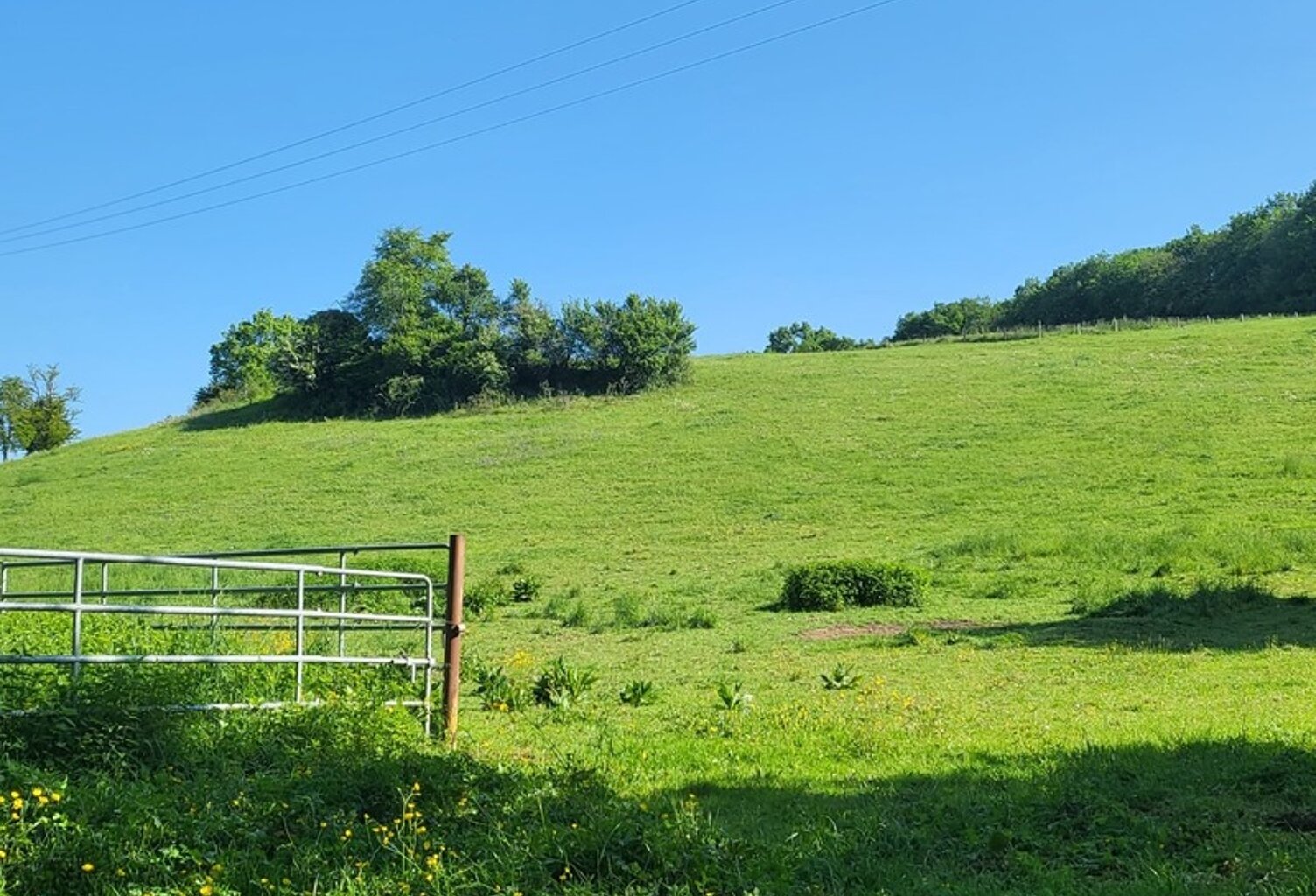 Terrain agricole sur 6 hectares, bois, source, compteur d'eau, clos, abri animaux, chevaux — photo 1