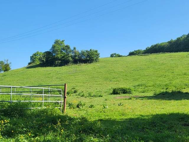 Terrain agricole sur 6 hectares, bois, source, compteur d'eau, clos, abri animaux, chevaux — photo du bien