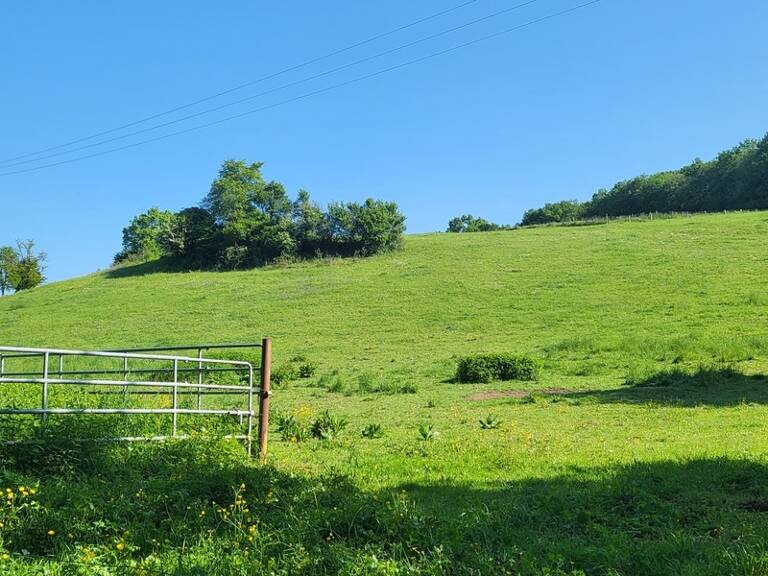 Terrain agricole sur 6 hectares, bois, source, compteur d'eau, clos, abri animaux, chevaux — photo 1