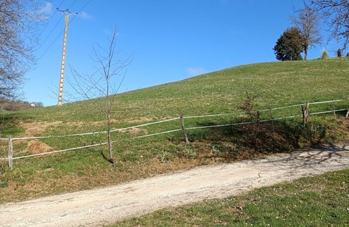Terrain agricole sur 6 hectares, bois, source, compteur d'eau, clos, abri animaux, chevaux — photo 4