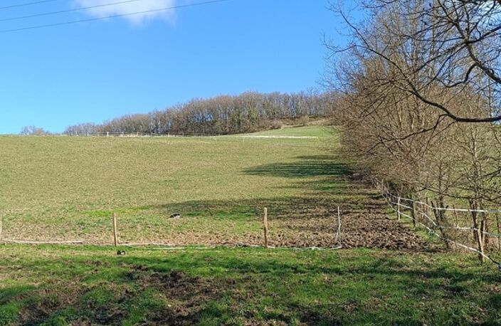 Terrain agricole sur 6 hectares, bois, source, compteur d'eau, clos, abri animaux, chevaux — photo 5