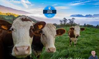 Maison 8 Pièces 1838 m² à vendre à Antully (71400)