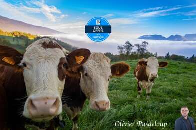 Maison 8 pièces 200000 €