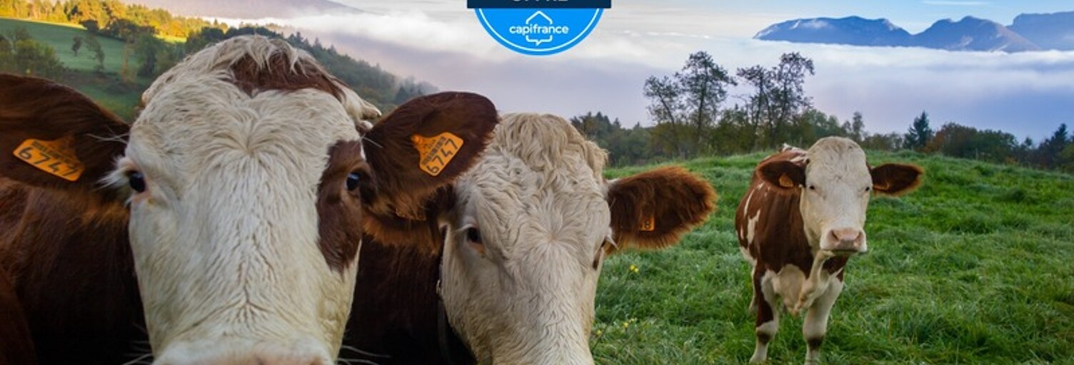 Maison 8 Pièces 1838 m² à vendre à Antully (71400)