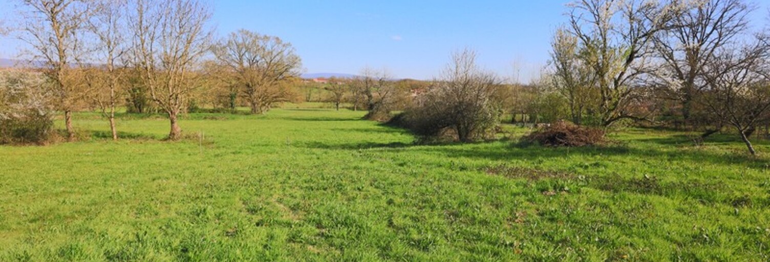 Terrain  4045 m² à vendre à Foissiat (01340)