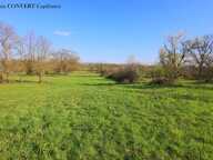 🌿 UN TERRAIN, DE MULTIPLES POSSIBILITÉS 4045m² constructible proche du village !!! — photo 2