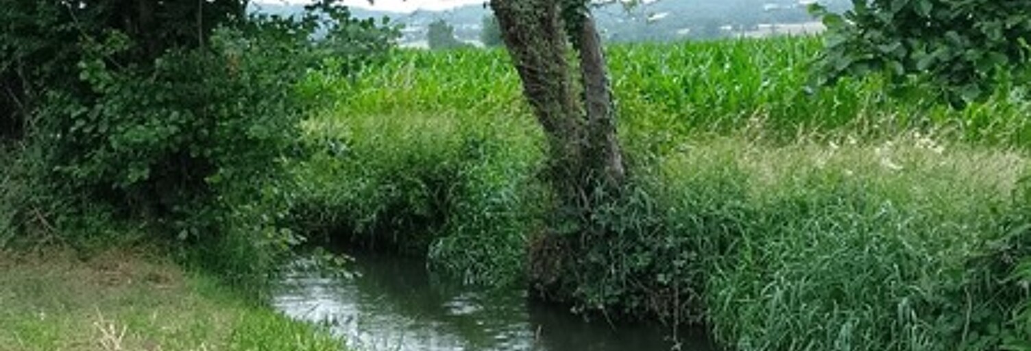 Terrain  1920 m² à vendre à Mondavezan (31220)