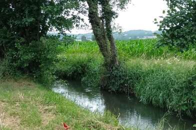 Terrain  65000 €