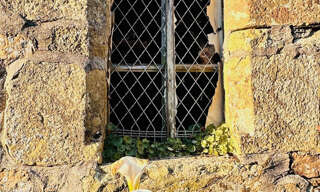 Photo N° 2