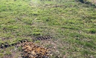 Terrain 400 m² à construire Hostens (33125)