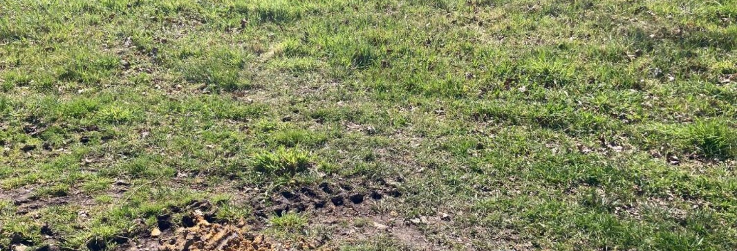 Terrain 400 m² à construire Hostens (33125)