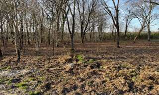 Maison 80 m² à construire Mios (33380)