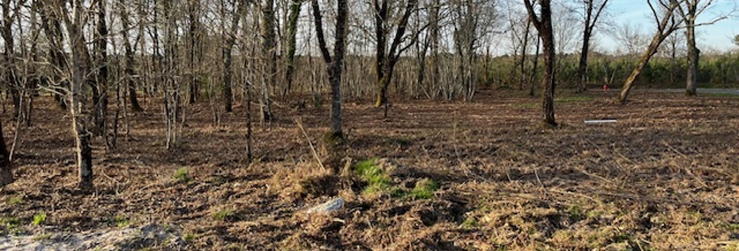 Maison 80 m² à construire Mios (33380)