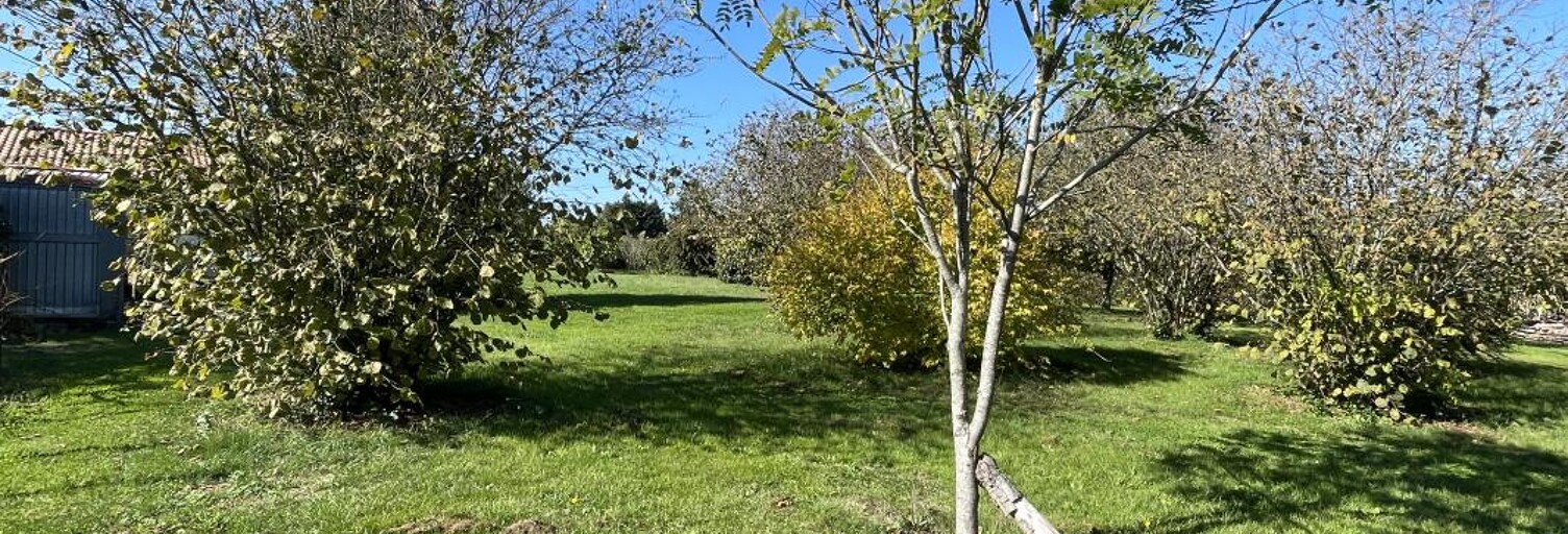 Terrain 910 m² à construire Cussac-Fort-Médoc (33460)