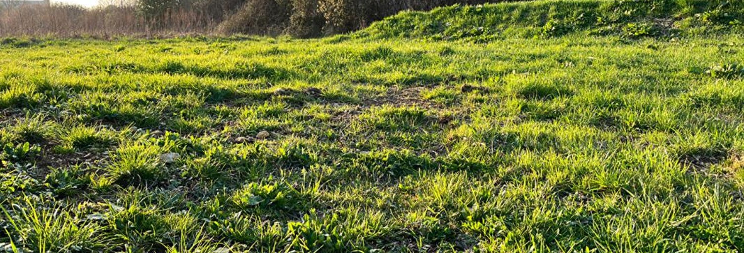 Terrain  600 m² à vendre à Falaise (14700)