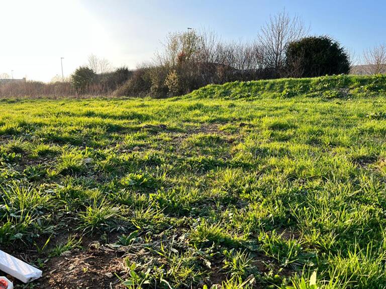 TERRAIN 600m² FALAISE — photo 1