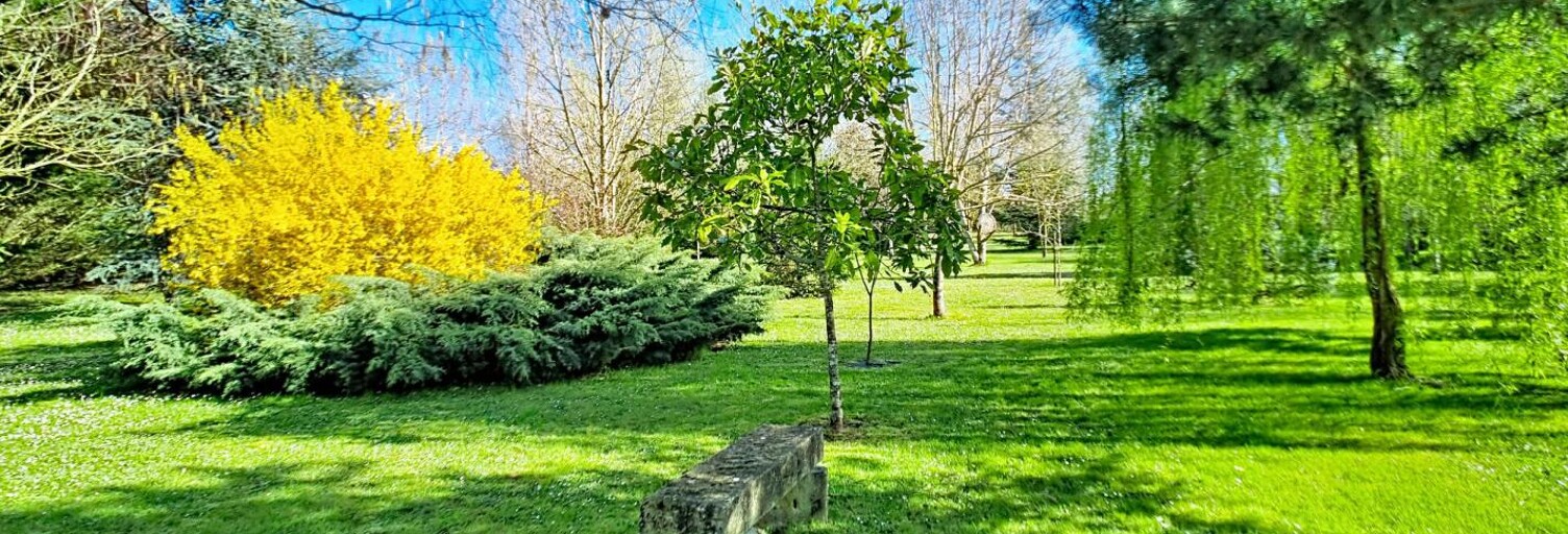 Maison 8 Pièces 219 m² à vendre à Saint-Maurice-la-Clouère (86160)