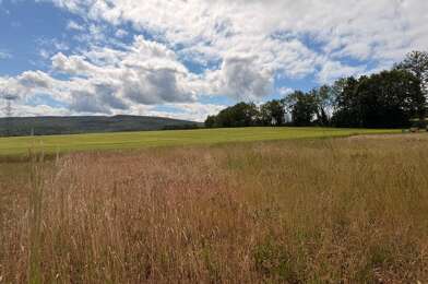 Terrain  98000 €