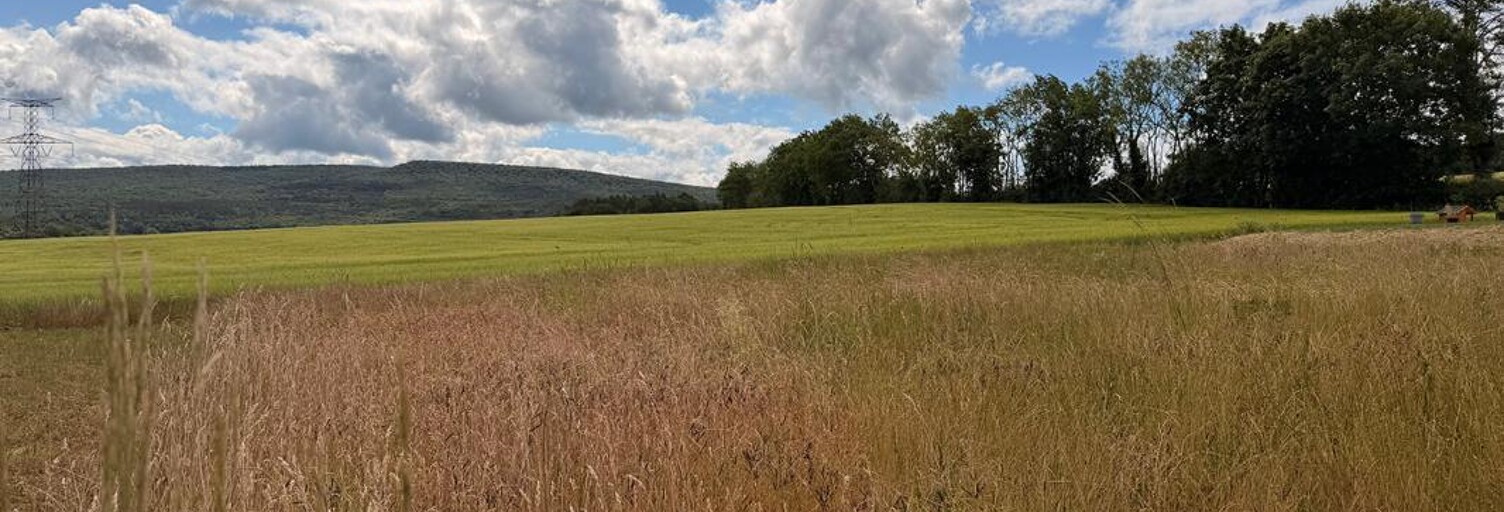 Terrain  950 m² à vendre à Agey (21410)