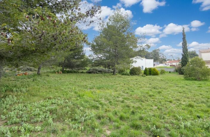 Maison plain-pied avec terrain constructible 3000 m²  secteur Olonzac — photo 3