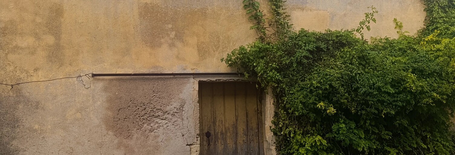 Commerce 2 Pièces 118 m² à vendre à La Palme (11480)