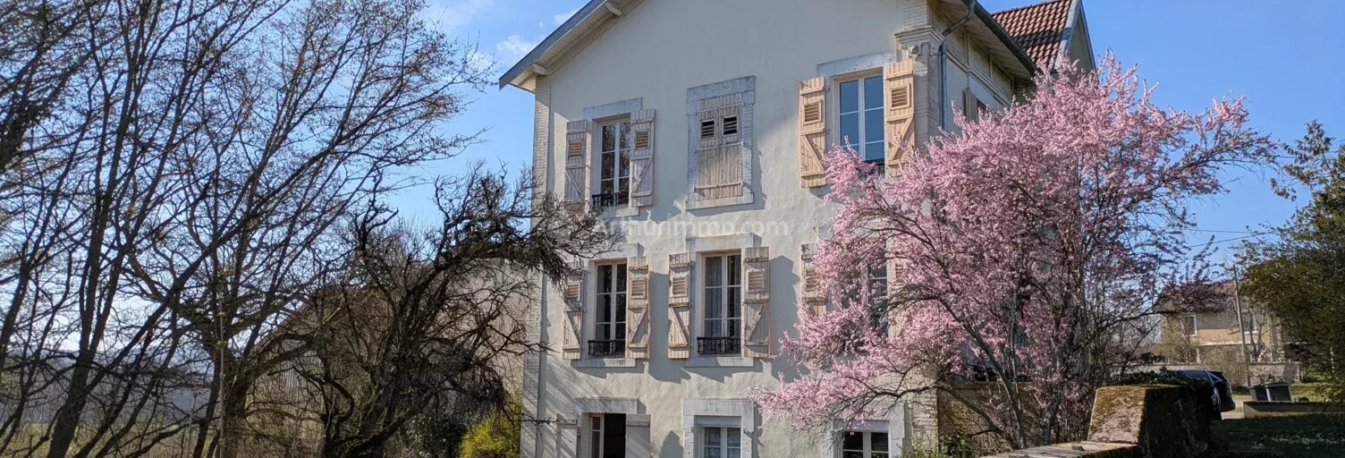 Maison 7 Pièces 196 m² à vendre à Neufchâteau (88300)