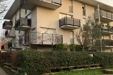 Appartement 3 pièces 1020 €