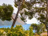 VENTE - EXCLUSIVITÉ - CASSIS - LA PRESQU'ÎLE - MAISON DE CARACTÈ — photo 2