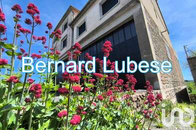 Maison 10 pièces 107000 €