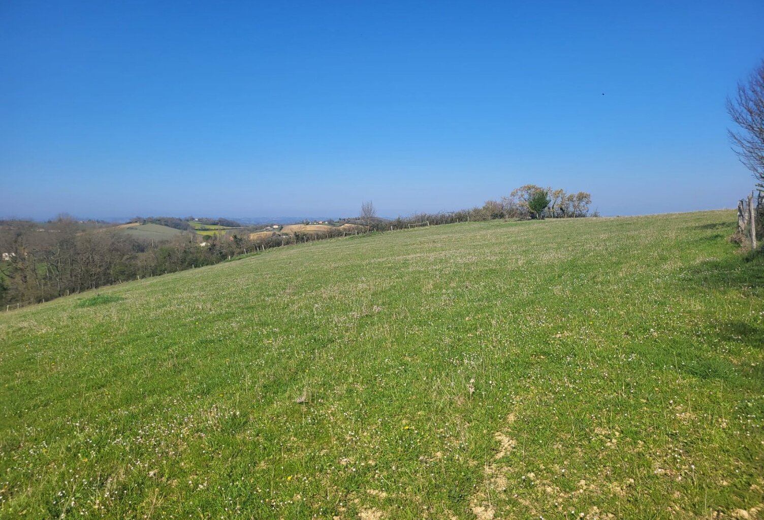 Terrain agricole — photo 1