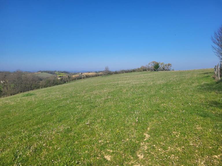 Terrain agricole — photo 1