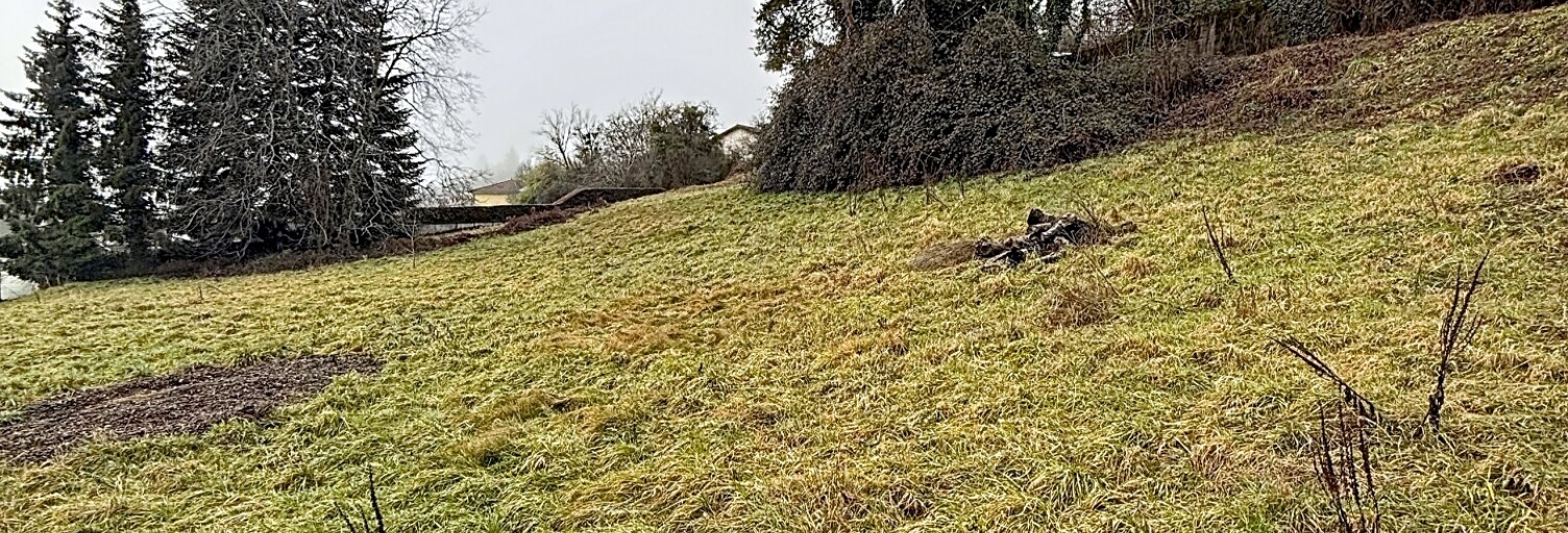 Terrain  1400 m² à vendre à Valserhône (01200)