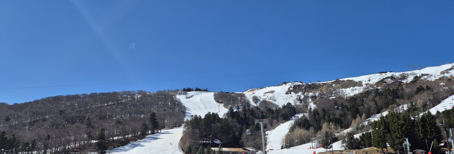 Appartement 1 Pièce 25 m² à vendre à Besse-et-Saint-Anastaise (63610)