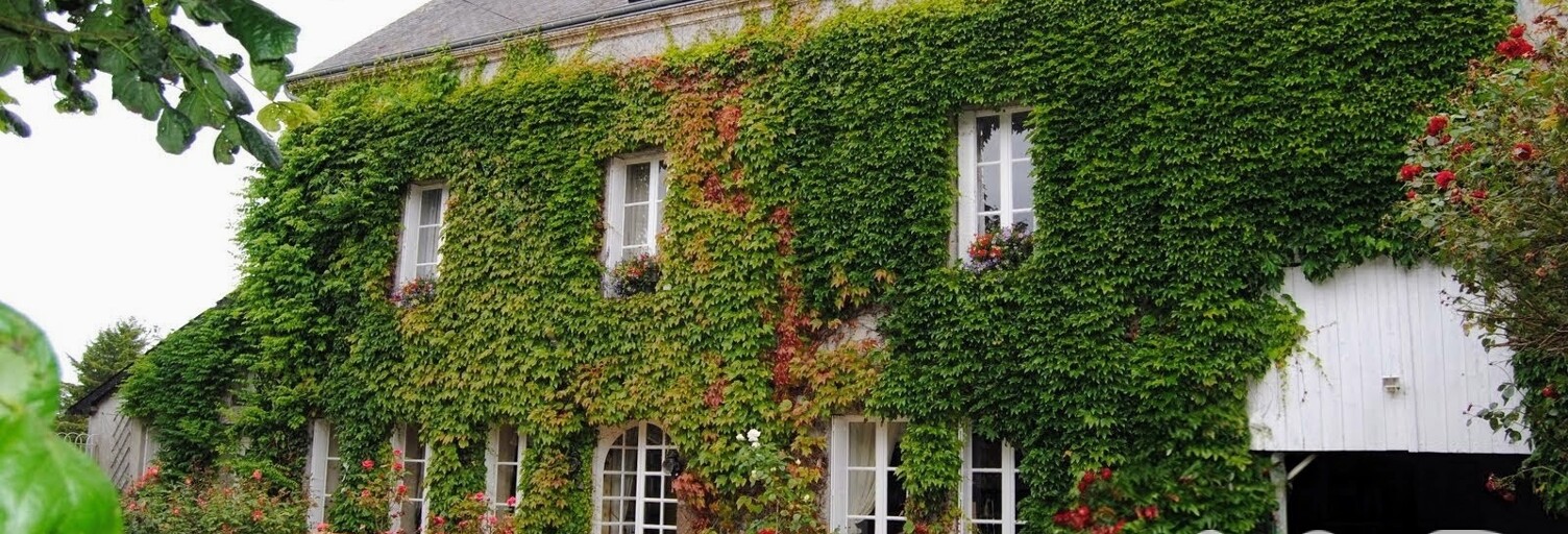 Maison 8 Pièces 238 m² à vendre à Sougé-le-Ganelon (72130)