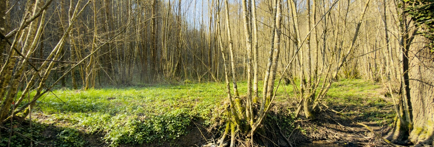 Terrain  4591 m² à vendre à Durstel (67320)