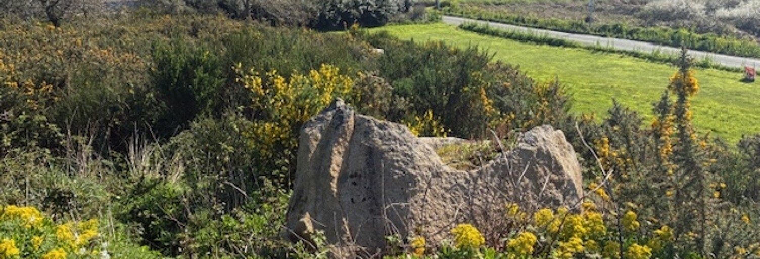 Terrain  996 m² à vendre à Pleumeur-Bodou (22560)