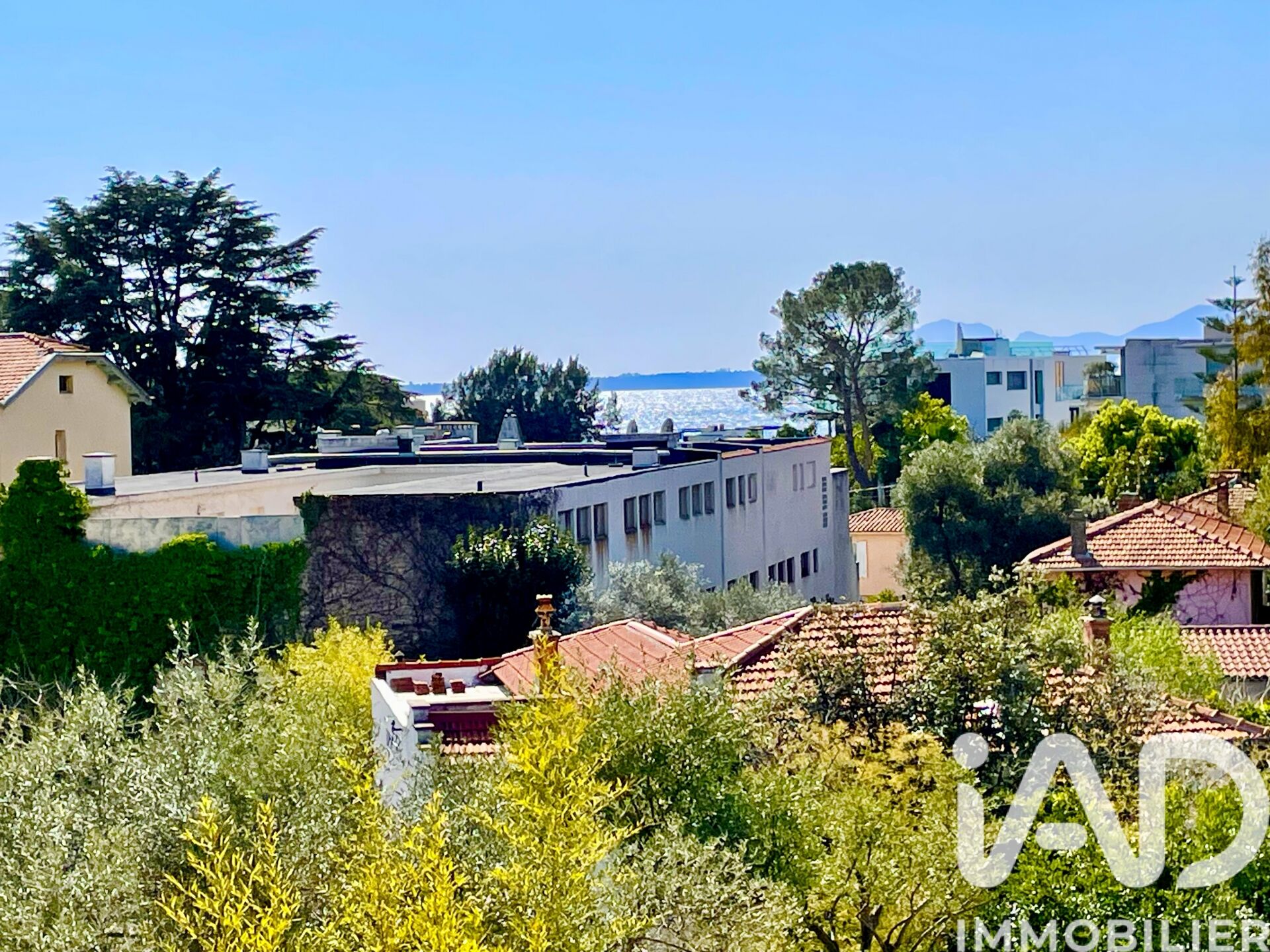 Appartement à vendre, 2 pièces, 39 m², Antibes