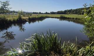 Terrain  5316 m² à vendre à Ferrières-en-Bray (76220)